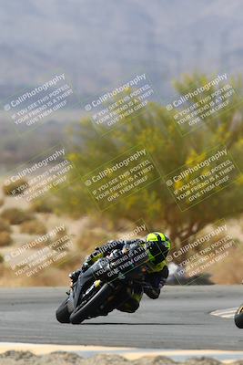 media/Apr-10-2022-SoCal Trackdays (Sun) [[f104b12566]]/Turn 5 Tree of Life (1040am)/